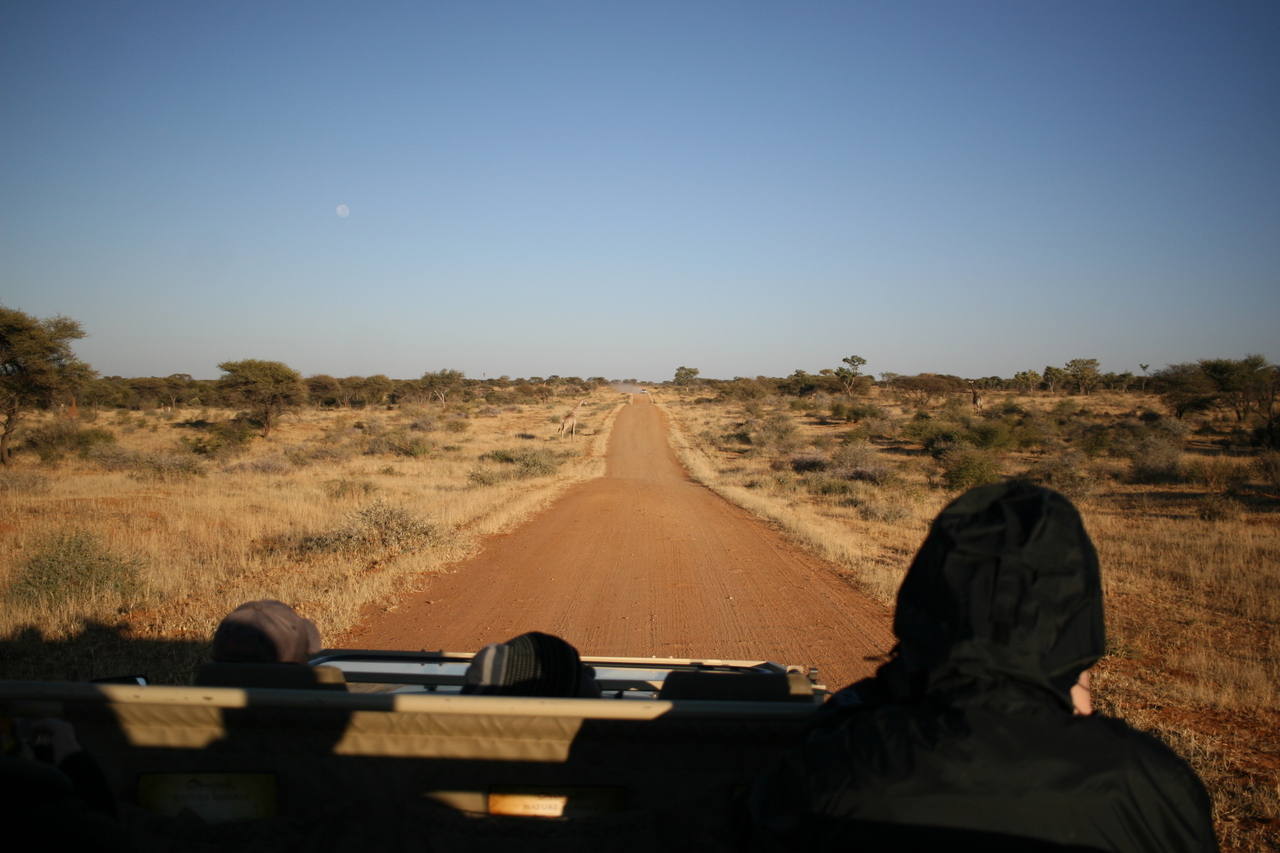 [675] 2016_06_22_02_28_55_Africa_Canon_EOS_30D_IMG_1761_00207.jpg