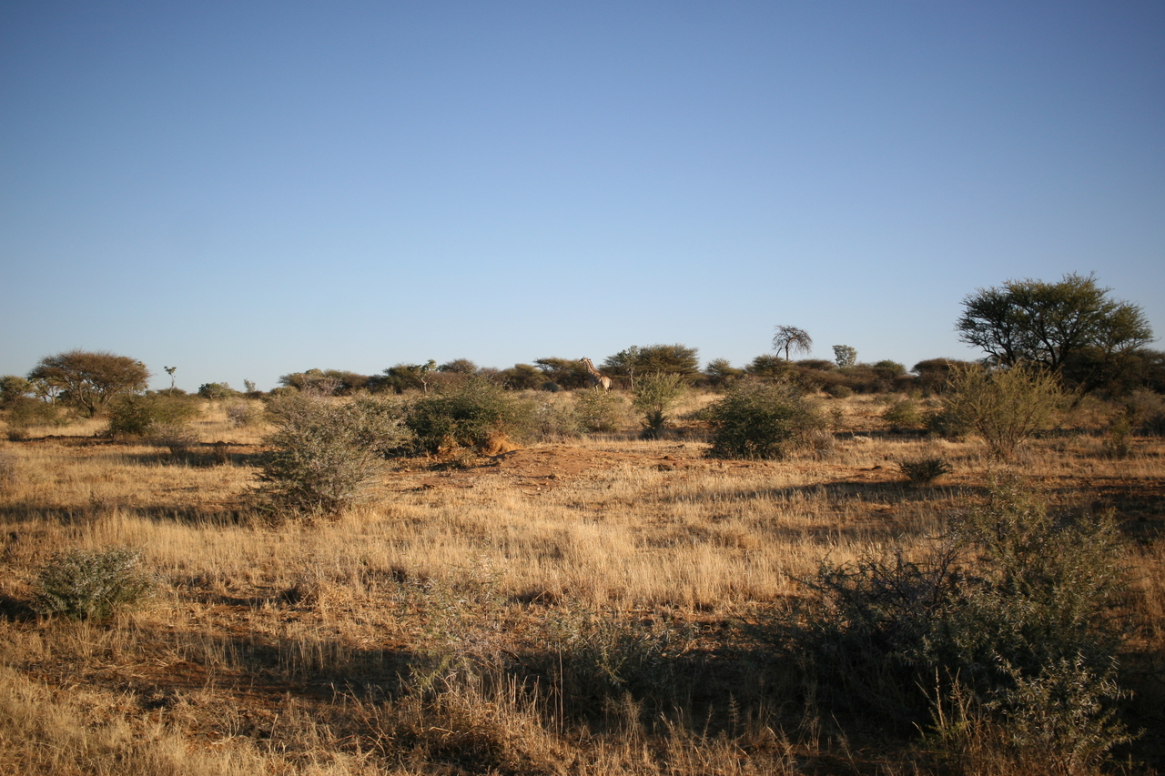 [678] 2016_06_22_02_30_24_Africa_Canon_EOS_30D_IMG_1763_00030.jpg