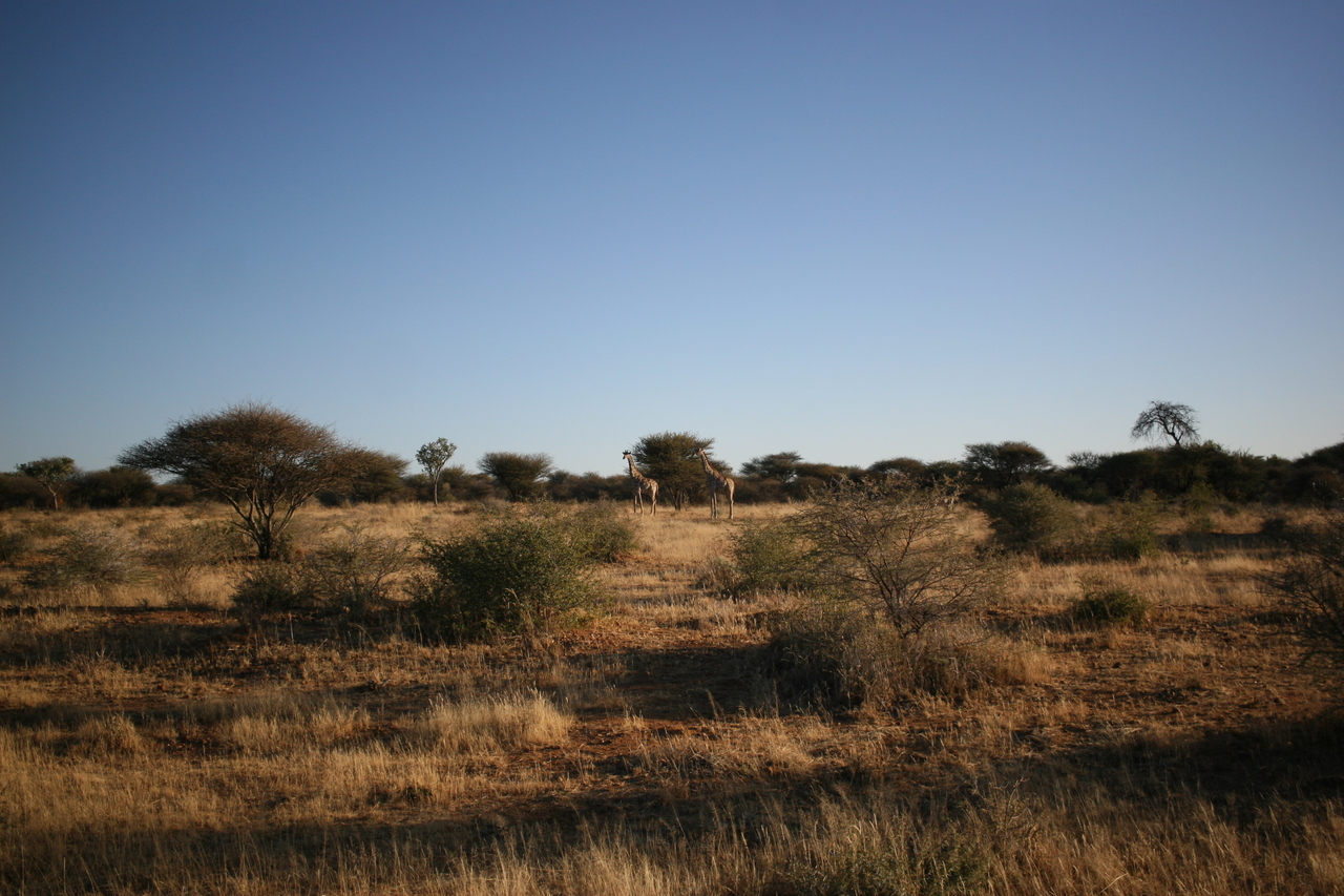 [680] 2016_06_22_02_30_31_Africa_Canon_EOS_30D_IMG_1764_00031.jpg