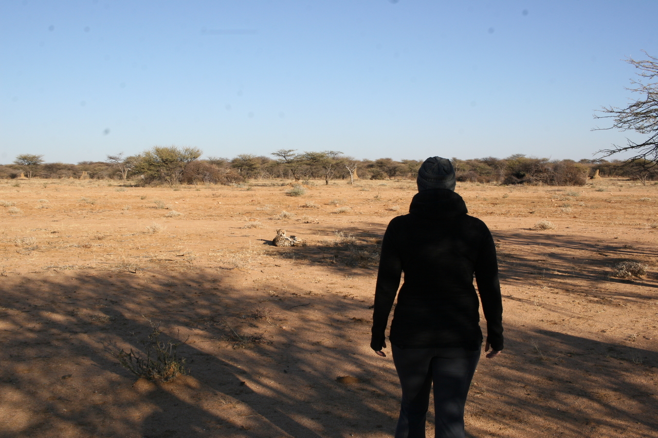 [1272] 2016_06_22_03_00_08_Africa_Canon_EOS_30D_IMG_1776_00043.jpg