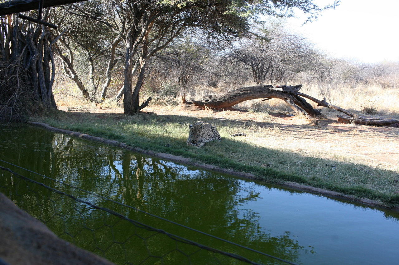 [6187] 2016_06_23_10_40_38_Africa_Canon_EOS_30D_IMG_1894_00338.jpg