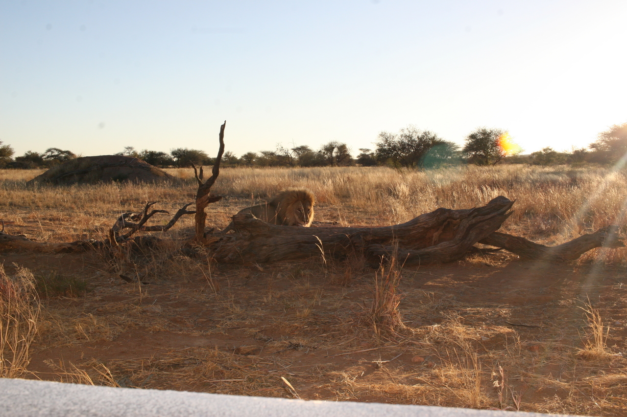 [8792] 2016_06_23_12_02_25_Africa_Canon_EOS_30D_IMG_1966_00231.jpg