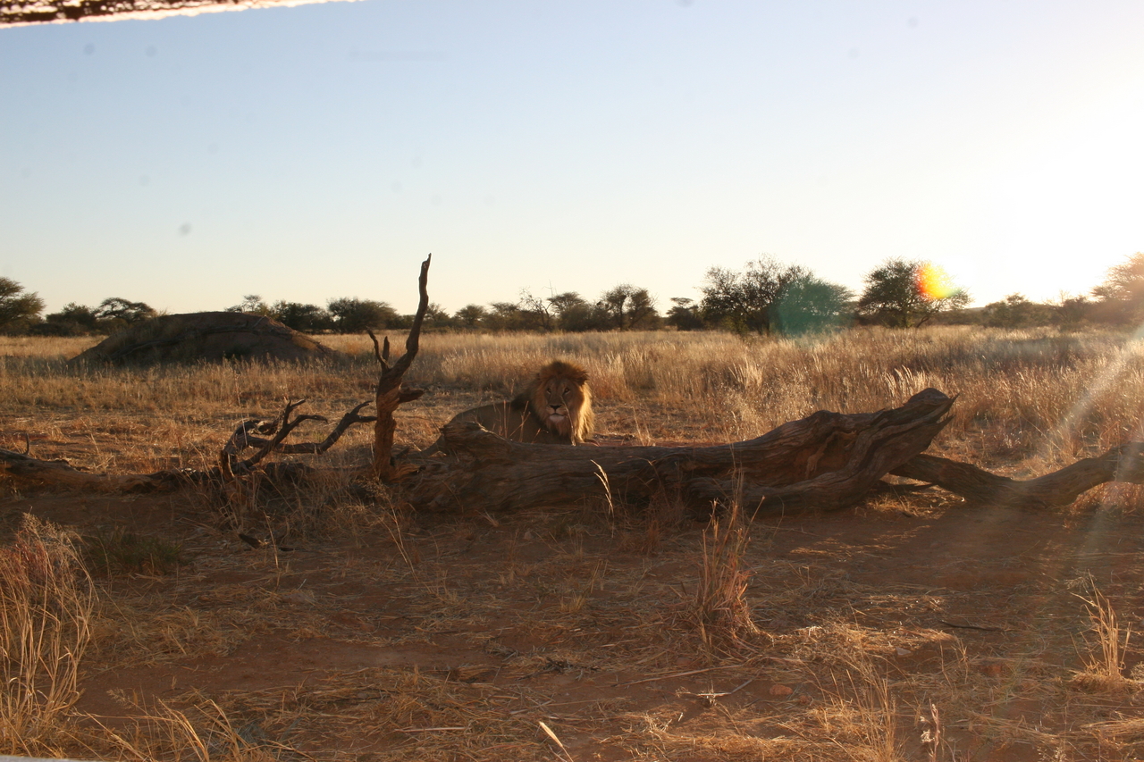 [8796] 2016_06_23_12_04_14_Africa_Canon_EOS_30D_IMG_1968_00233.jpg