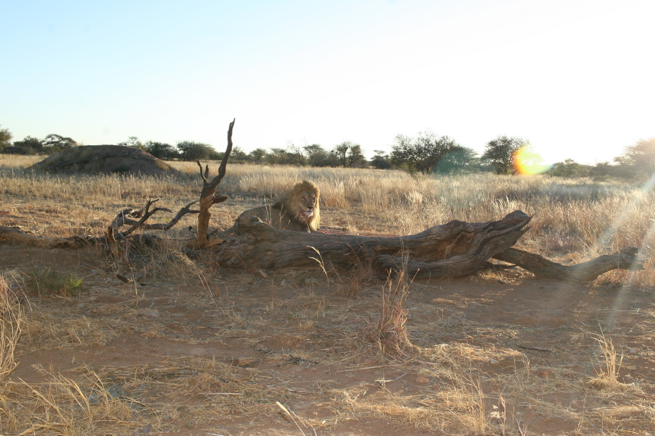[8798] 2016_06_23_12_04_47_Africa_Canon_EOS_30D_IMG_1969_00234.jpg