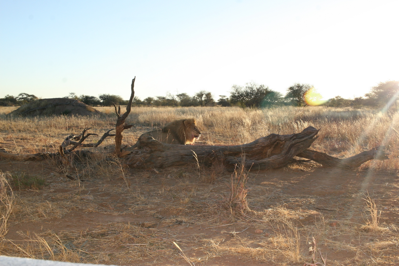 [8801] 2016_06_23_12_05_03_Africa_Canon_EOS_30D_IMG_1970_00414.jpg
