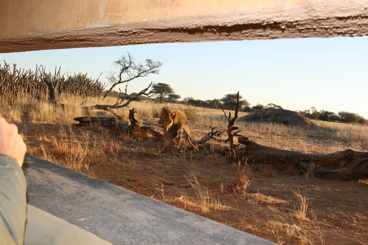 [8804] 2016_06_23_12_07_24_Africa_Canon_EOS_30D_IMG_1972_00237.jpg