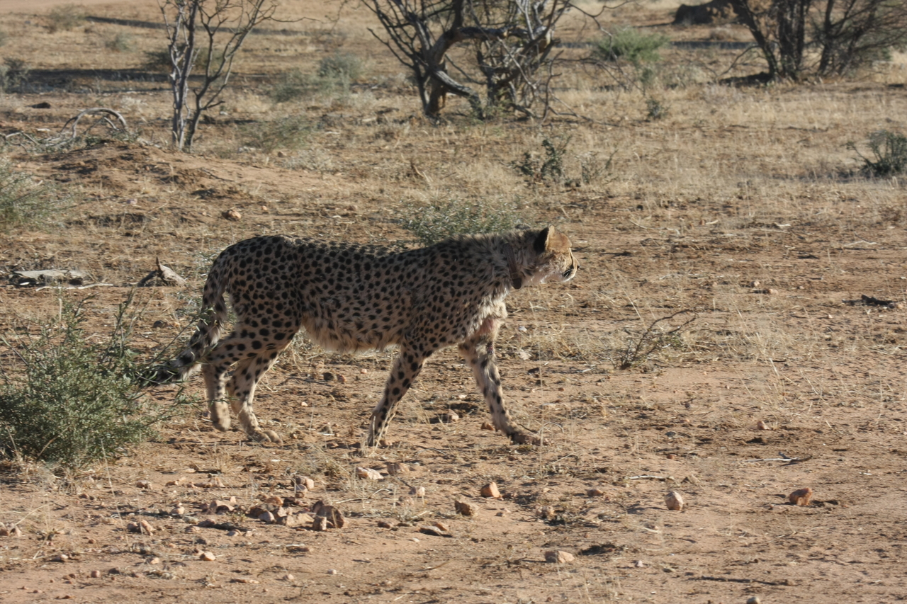 [1214] 2016_06_22_02_56_09_Africa_Canon_EOS_40D_IMG__00230.jpg