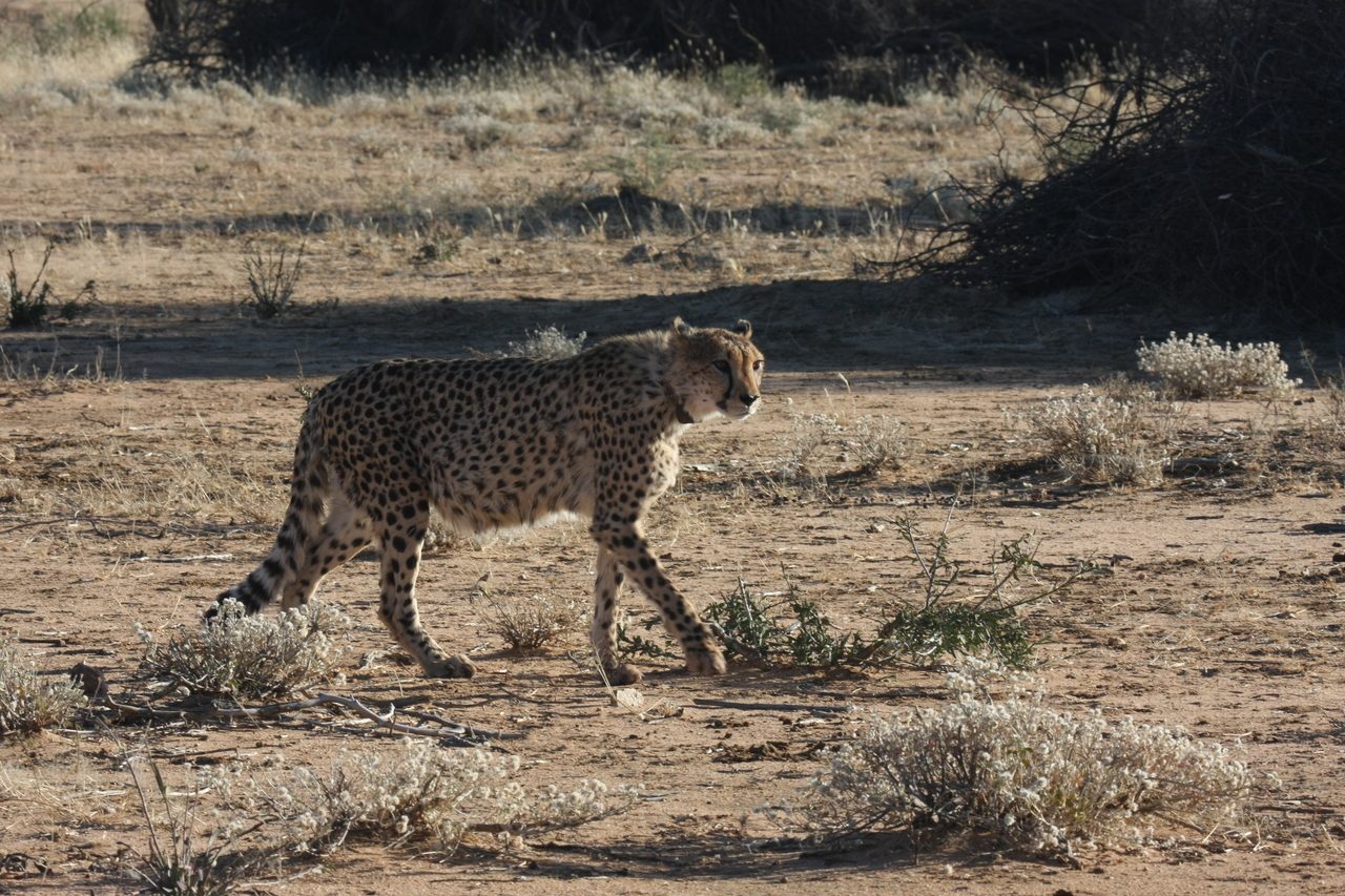 [1224] 2016_06_22_02_56_16_Africa_Canon_EOS_40D_IMG__07680.jpg