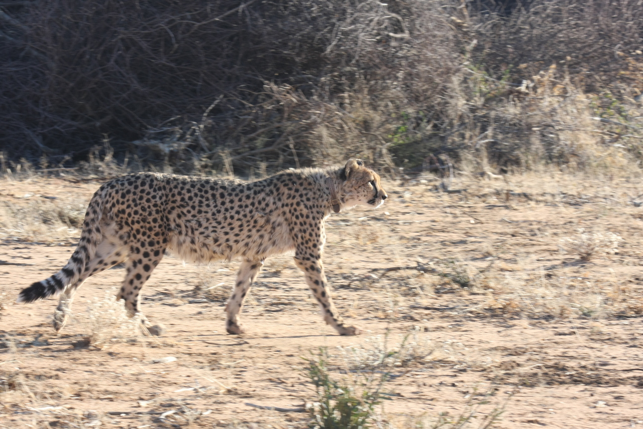 [1226] 2016_06_22_02_56_22_Africa_Canon_EOS_40D_IMG__00216.jpg