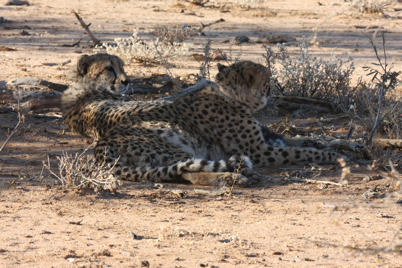 [1274] 2016_06_22_03_00_26_Africa_Canon_EOS_40D_IMG__00230.jpg