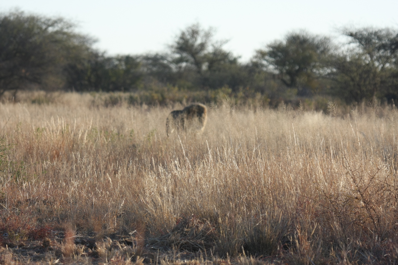 [7253] 2016_06_23_11_39_04_Africa_Canon_EOS_40D_IMG__00630.jpg