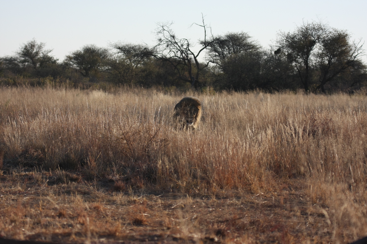 [7281] 2016_06_23_11_39_16_Africa_Canon_EOS_40D_IMG__00638.jpg