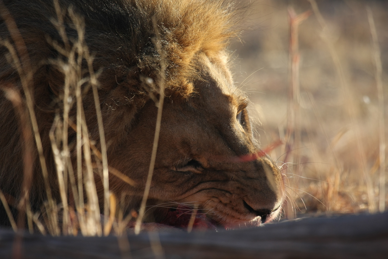[7623] 2016_06_23_11_43_17_Africa_Canon_EOS_40D_IMG__01582.jpg