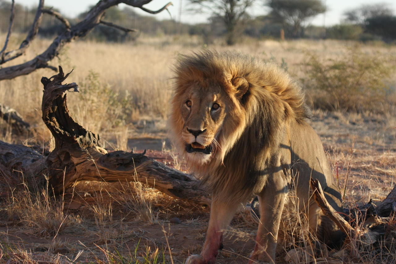 [8406] 2016_06_23_11_54_13_Africa_Canon_EOS_40D_IMG__01750.jpg