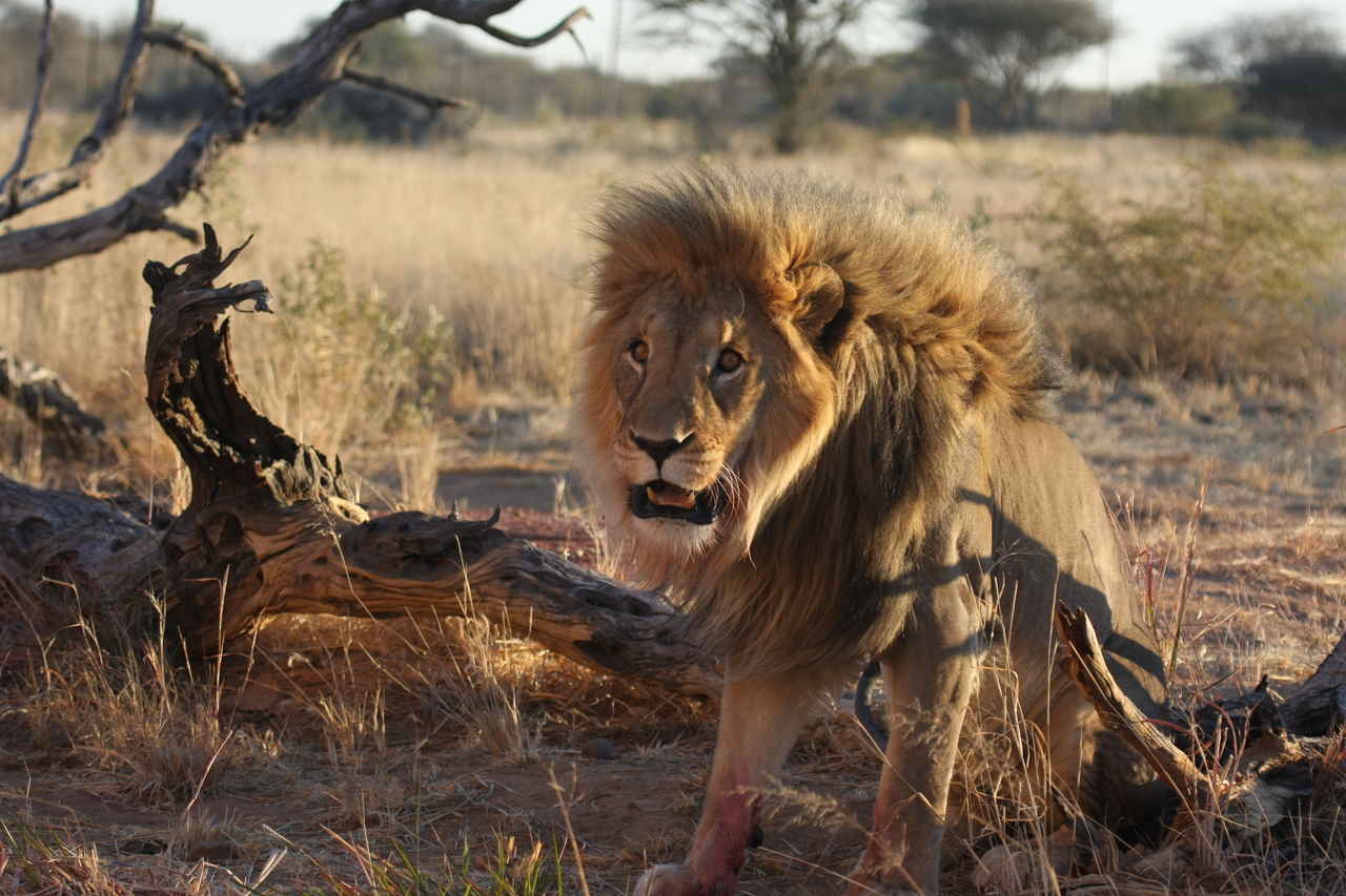 [8407] 2016_06_23_11_54_13_Africa_Canon_EOS_40D_IMG__09195.jpg