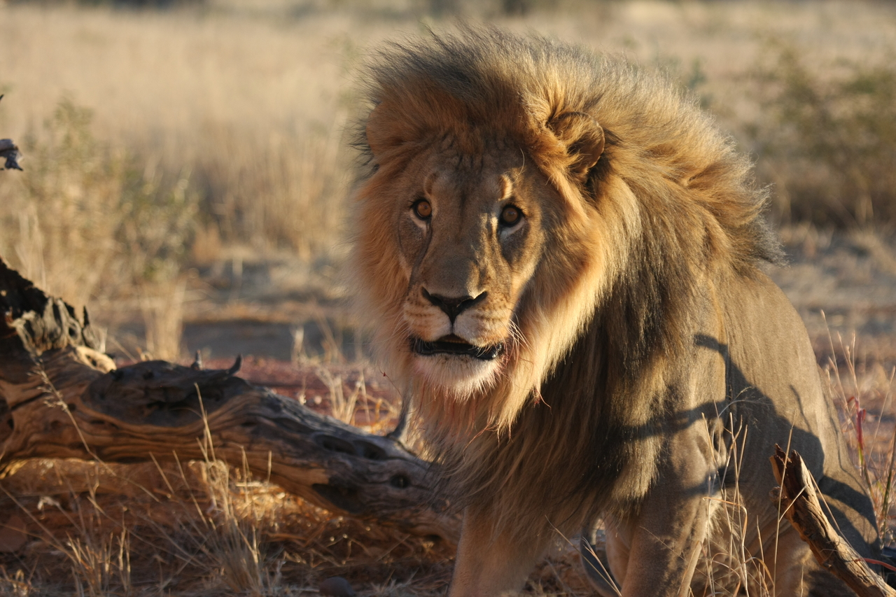 [8417] 2016_06_23_11_54_15_Africa_Canon_EOS_40D_IMG__09199.jpg