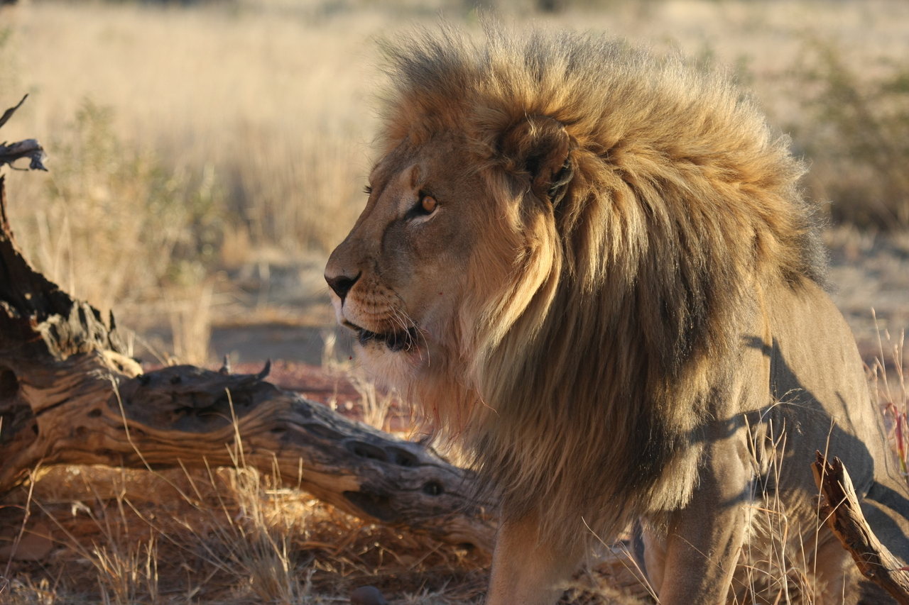 [8420] 2016_06_23_11_54_18_Africa_Canon_EOS_40D_IMG__00922.jpg