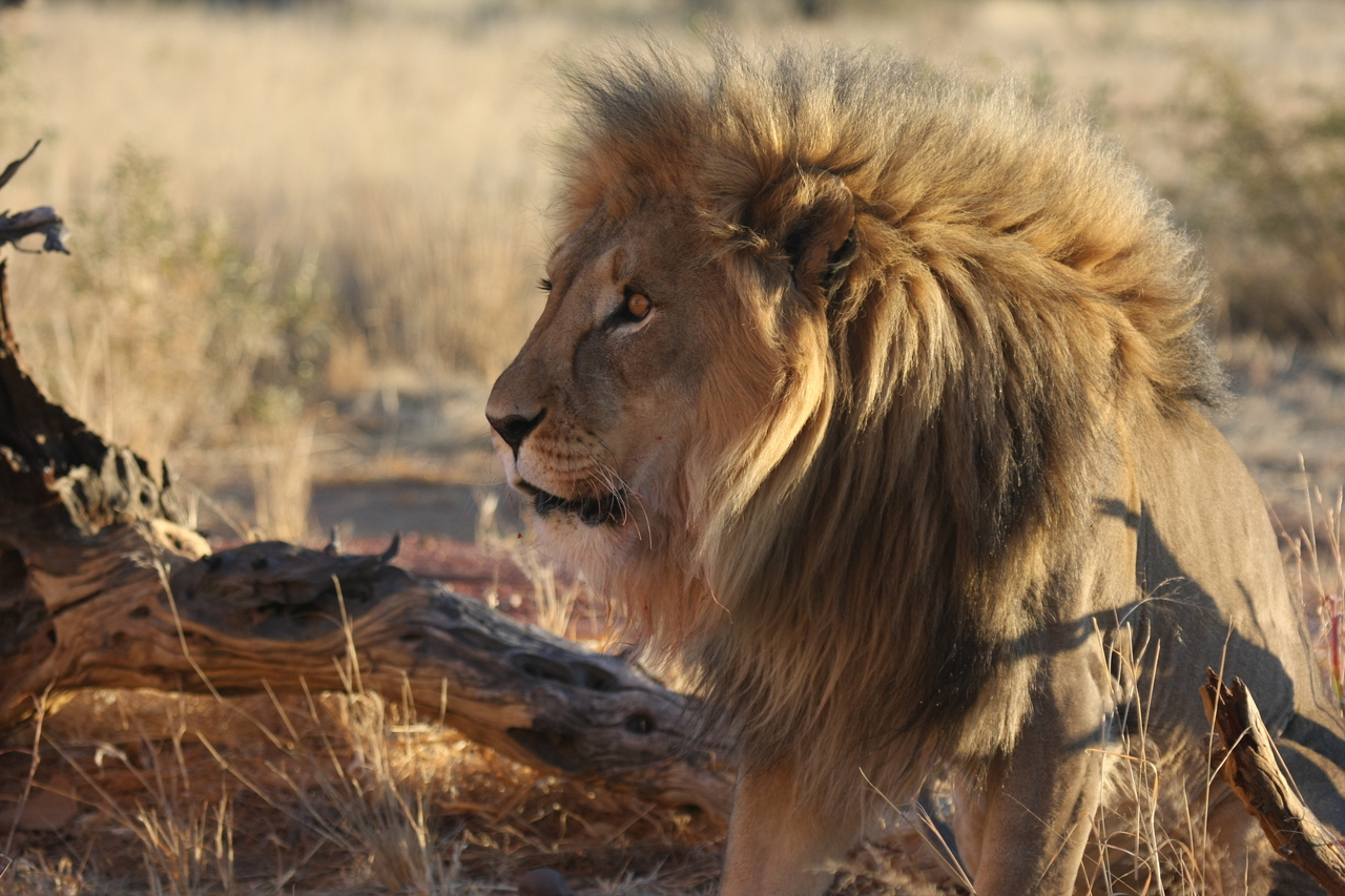 [8421] 2016_06_23_11_54_18_Africa_Canon_EOS_40D_IMG__00923.jpg