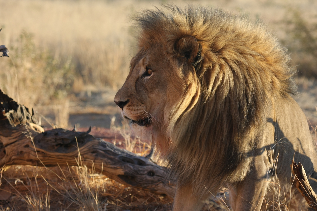 [8428] 2016_06_23_11_54_19_Africa_Canon_EOS_40D_IMG__00924.jpg