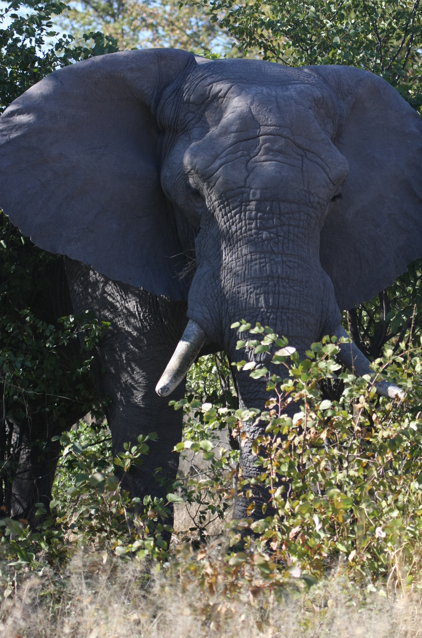 [16999] 2016_06_27_09_18_25_Africa_Canon_EOS_40D_IMG__00070.jpg