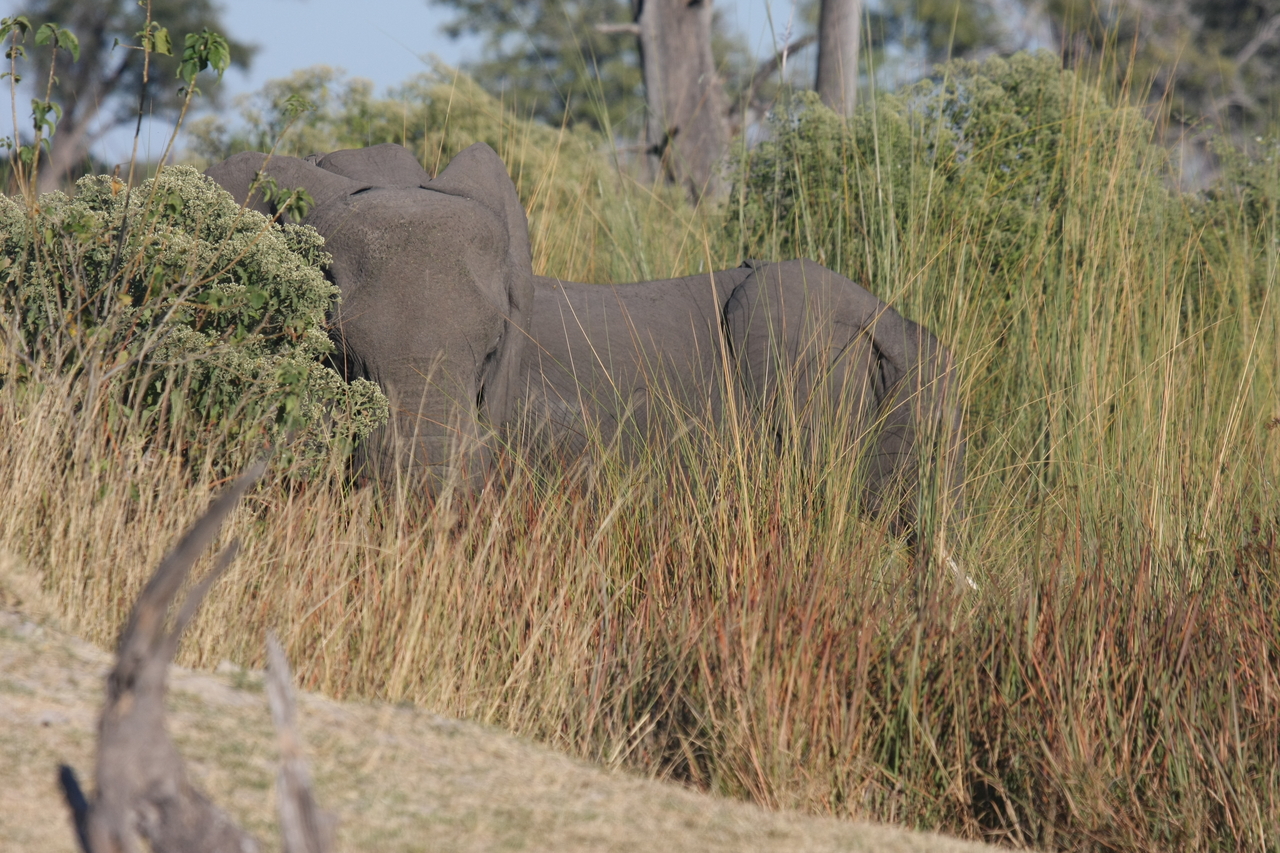 [17881] 2016_06_28_02_14_05_Africa_Canon_EOS_40D_IMG__09860.jpg