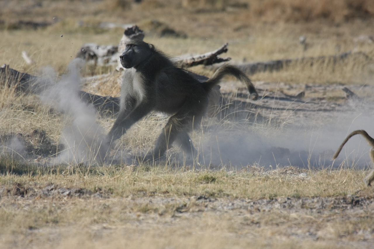 [18200] 2016_06_28_02_44_24_Africa_Canon_EOS_40D_IMG__02531.jpg