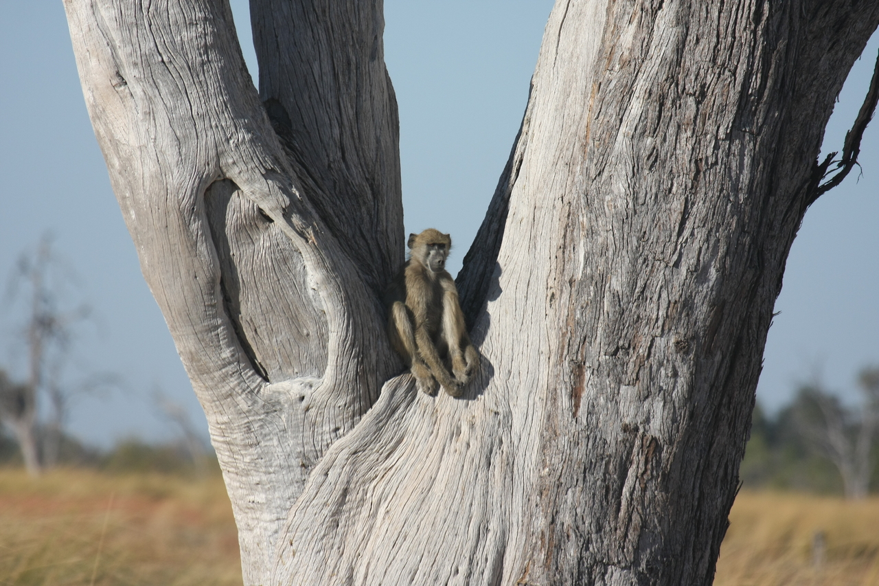 [18220] 2016_06_28_02_44_48_Africa_Canon_EOS_40D_IMG__09985.jpg