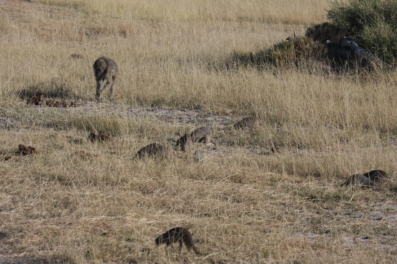 [18400] 2016_06_28_02_50_29_Africa_Canon_EOS_40D_IMG__02605.jpg