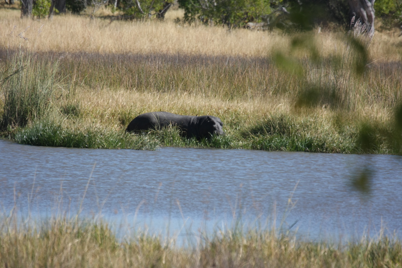 [19640] 2016_06_28_05_25_03_Africa_Canon_EOS_40D_IMG__10497.jpg