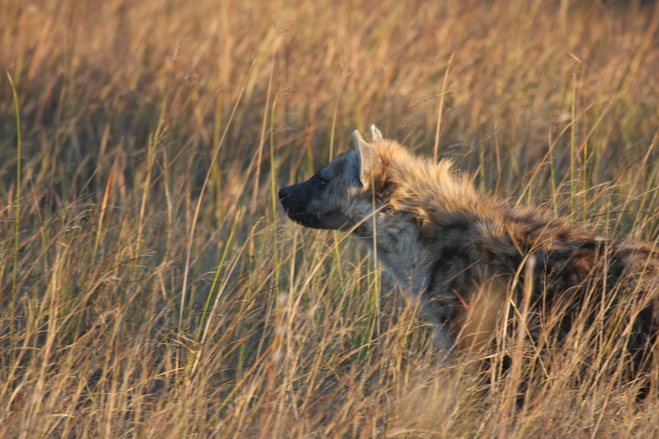 [21664] 2016_06_29_11_35_08_Africa_Canon_EOS_40D_IMG__03492.jpg