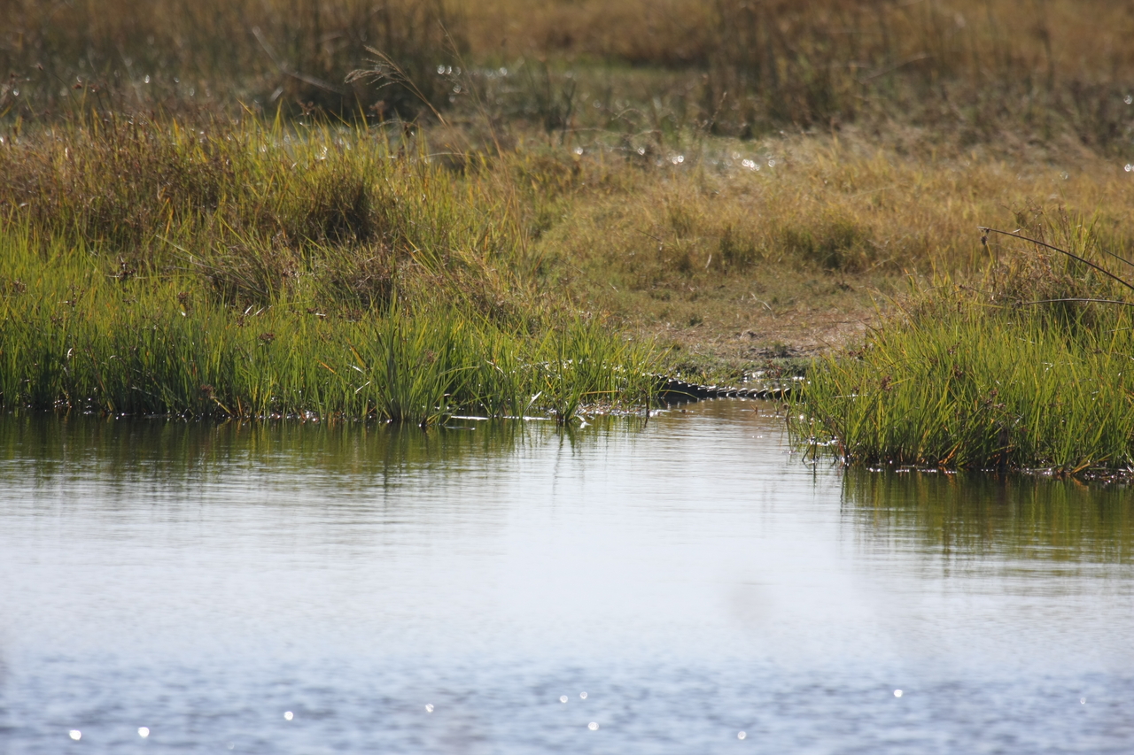 [23539] 2016_06_30_04_55_43_Africa_Canon_EOS_40D_IMG__11404.jpg