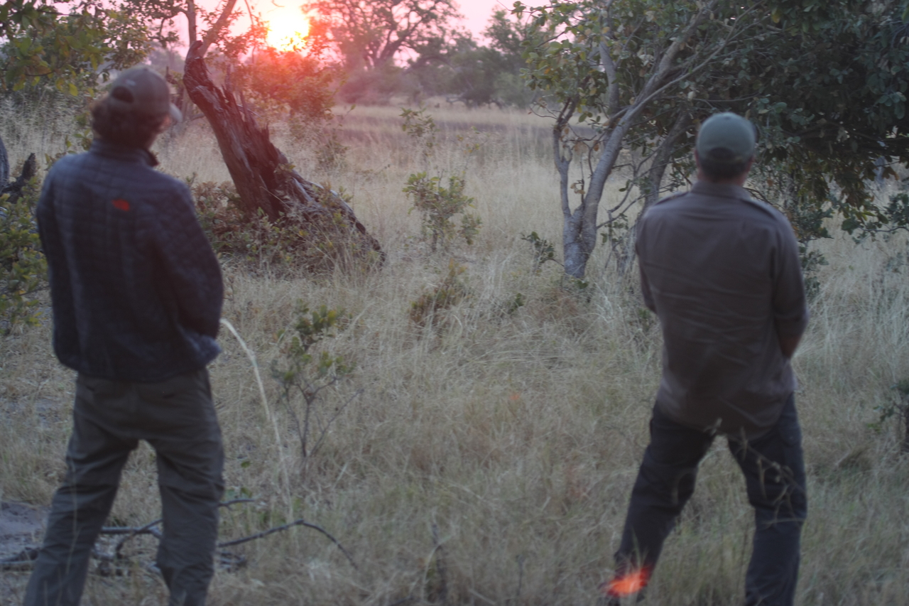 [25236] 2016_06_30_11_54_17_Africa_Canon_EOS_40D_IMG__00788.jpg