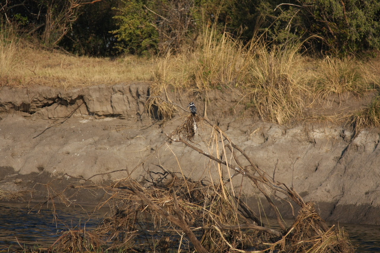 [28340] 2016_07_02_10_44_23_Africa_Canon_EOS_40D_IMG__04638.jpg