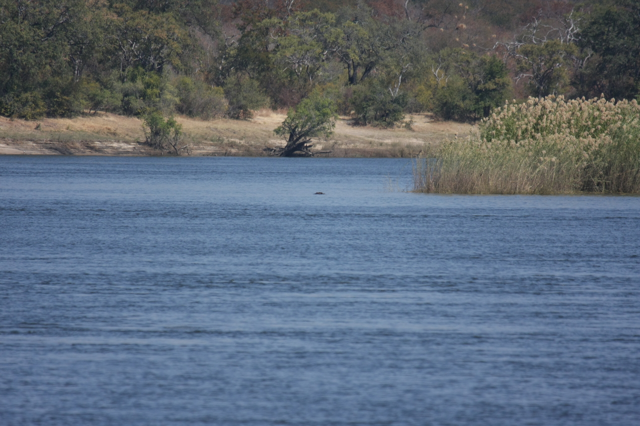[32910] 2016_07_04_06_27_49_Africa_Canon_EOS_40D_IMG__13273.jpg