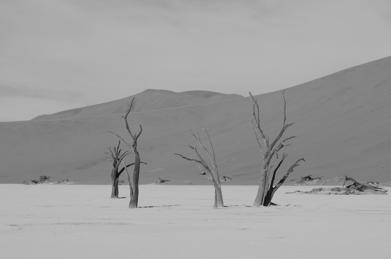 [14536] 2016_06_25_01_12_49_Africa_NIKON_D5100_IMG__04895.jpg