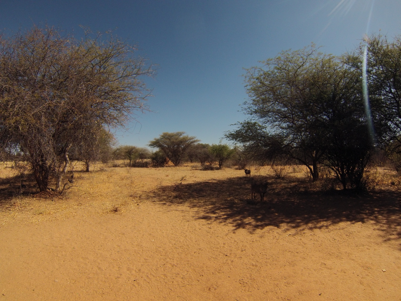 [8819] 2016_06_23_12_07_43_Africa_Hero3-Silver_Edition_IMG__00791.jpg