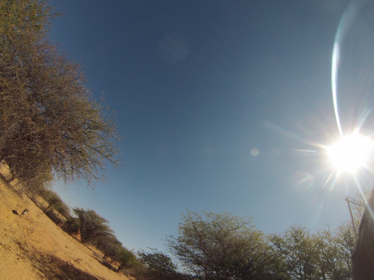 [8900] 2016_06_23_12_09_42_Africa_Hero3-Silver_Edition_IMG__00383.jpg