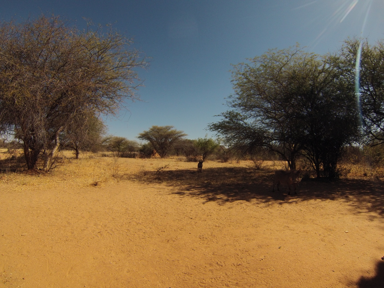 [8915] 2016_06_23_12_09_58_Africa_Hero3-Silver_Edition_IMG__00837.jpg