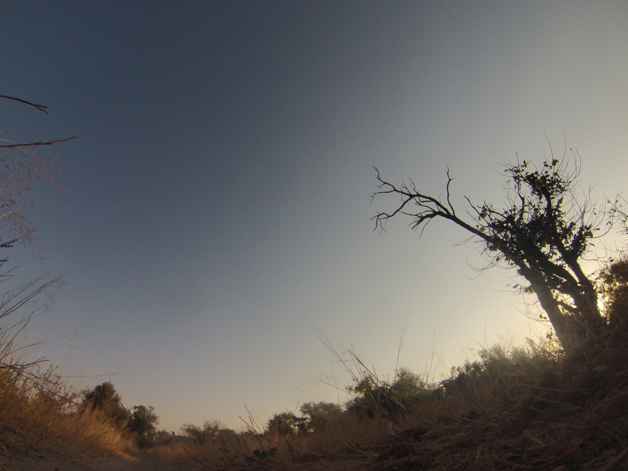 [26091] 2016_06_30_16_06_50_Africa_Hero3-Silver_Edition_IMG__01726.jpg