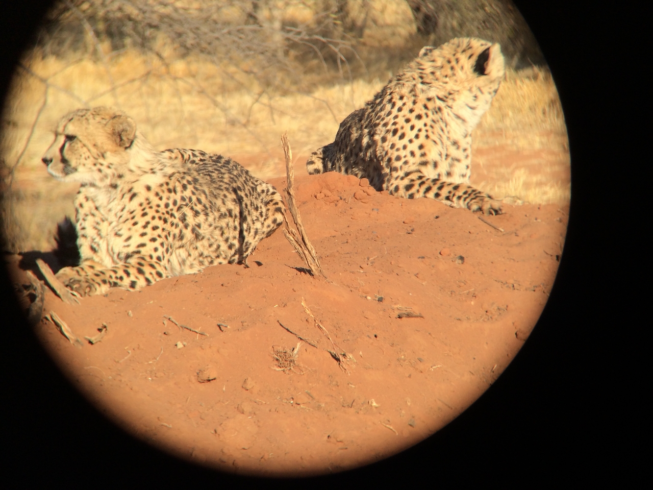 [6512] 2016_06_23_10_53_58_Africa_iPhone_5s_IMG__05945.jpg