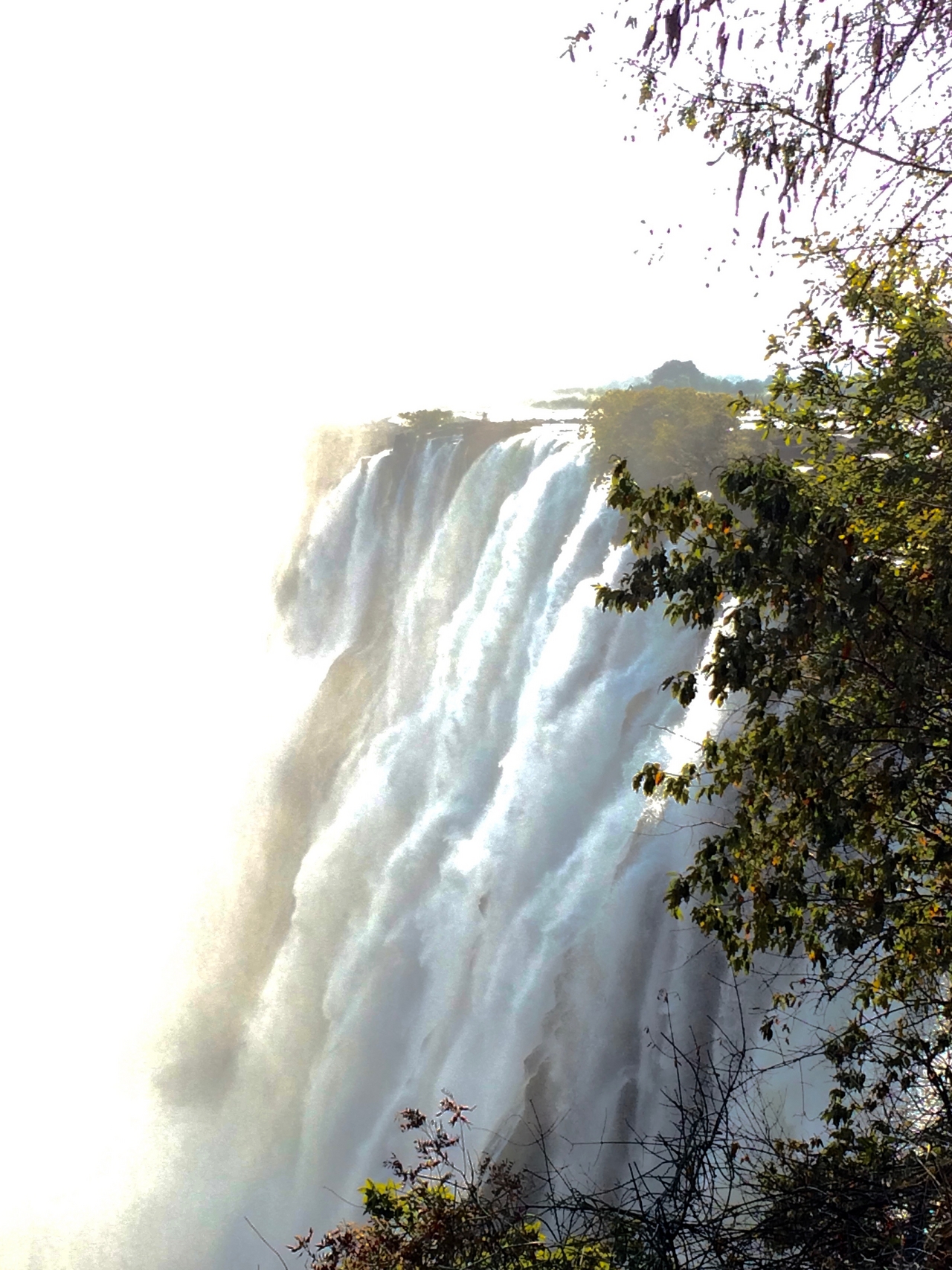 [31922] 2016_07_03_09_54_24_Africa_iPhone_5s_IMG__00862.jpg