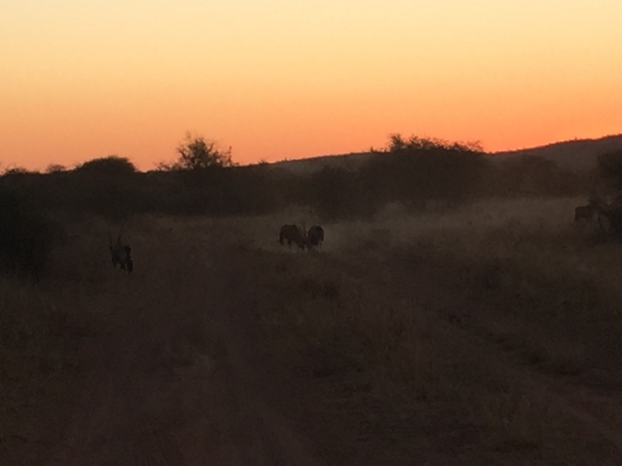 [3701] 2016_06_22_17_24_32_Africa_iPhone_6_IMG_7747_02678.jpg