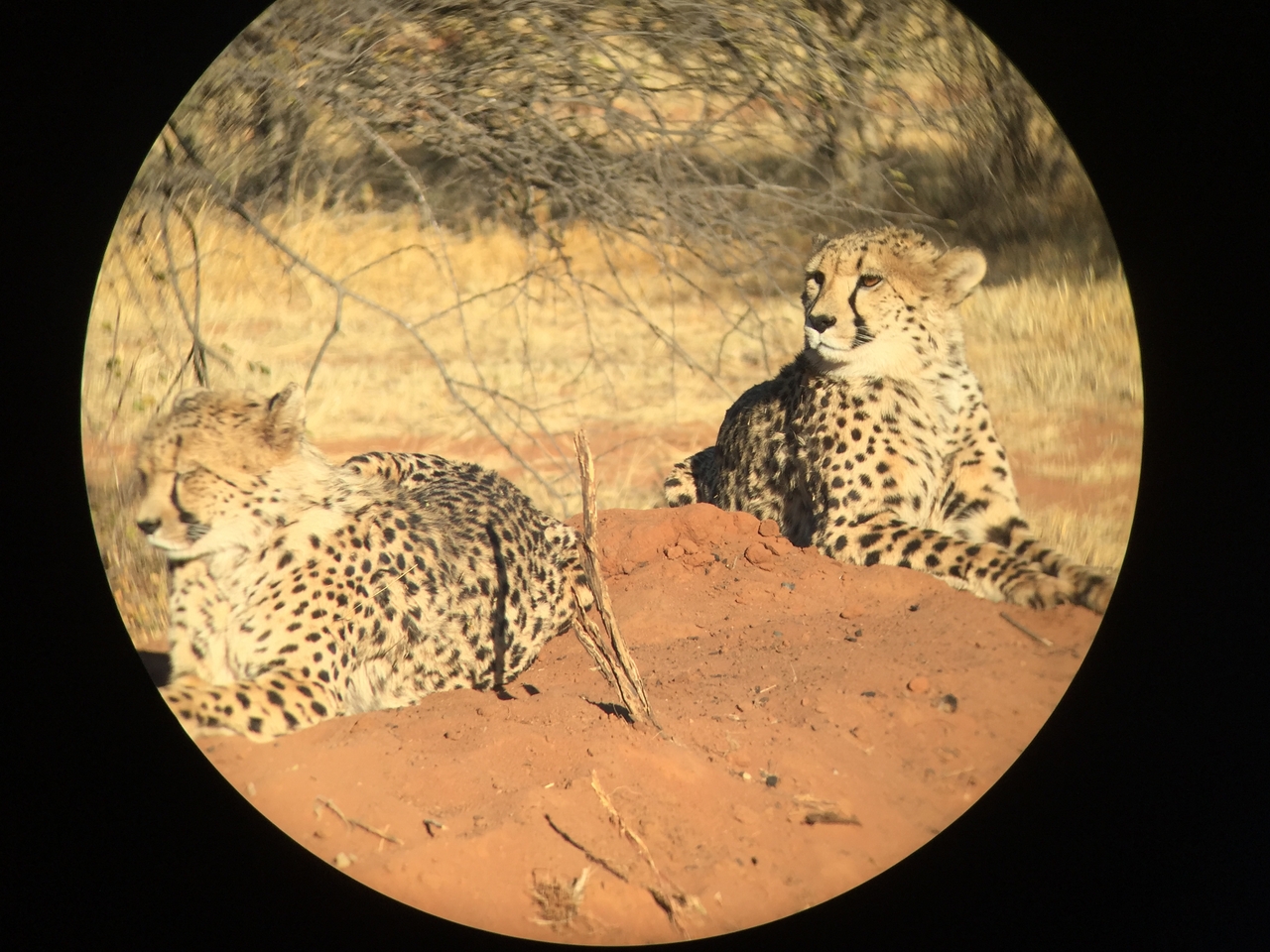 [9278] 2016_06_23_15_58_49_Africa_iPhone_6_IMG_7931_00514.jpg