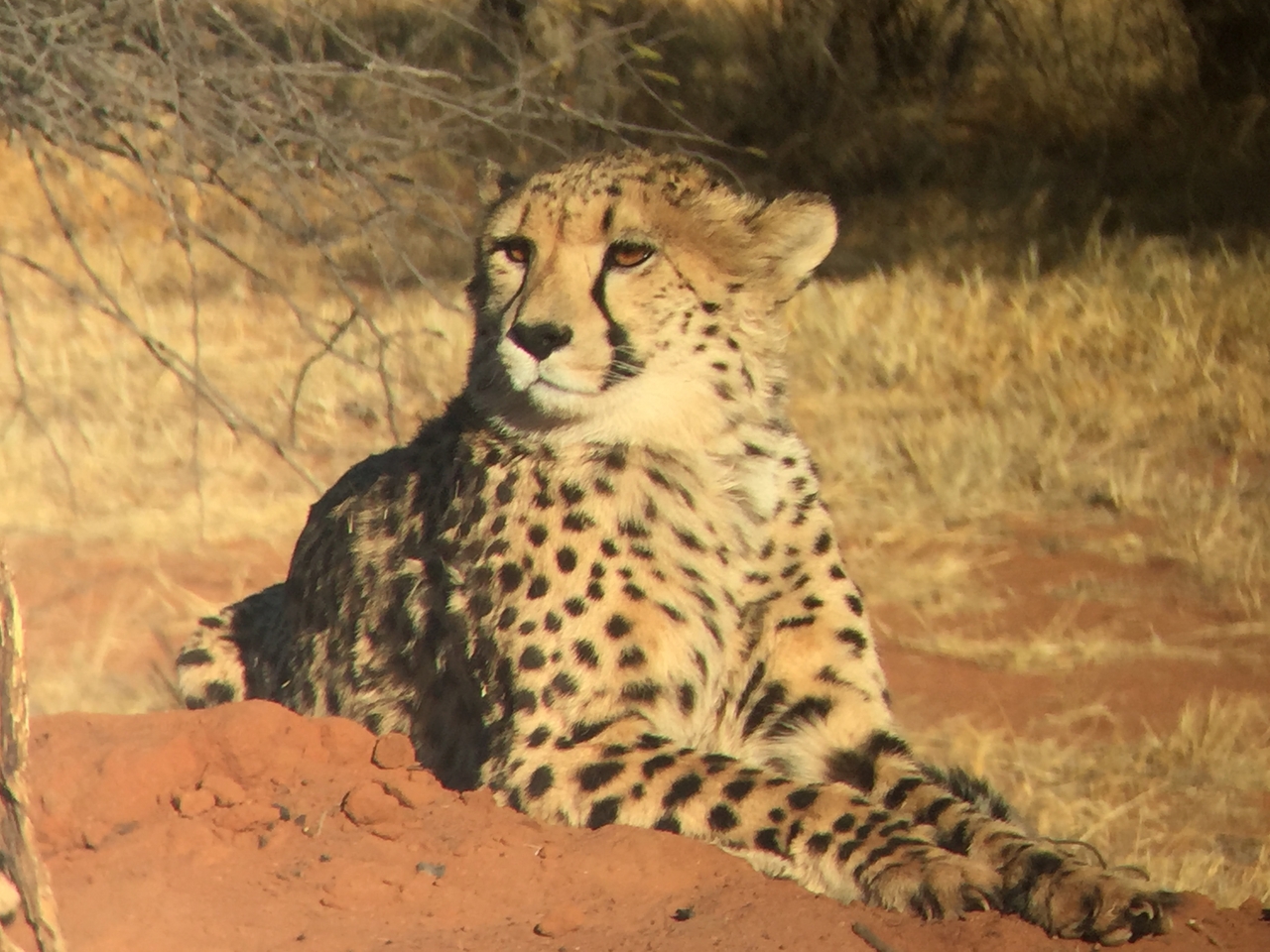 [9280] 2016_06_23_15_59_07_Africa_iPhone_6_IMG_7932_00515.jpg