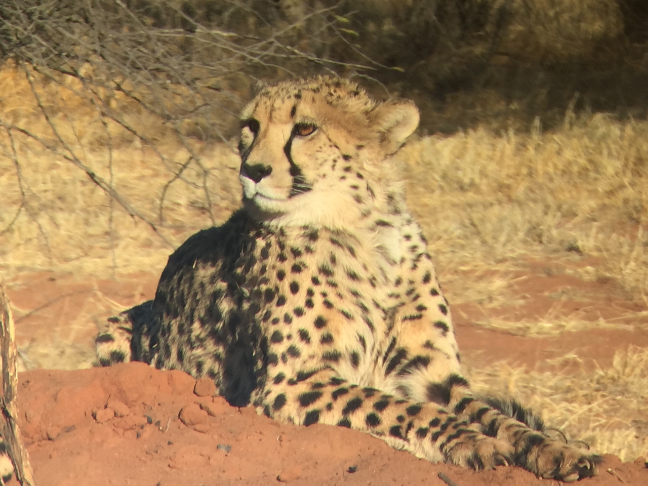 [9284] 2016_06_23_15_59_43_Africa_iPhone_6_IMG_7934_00517.jpg