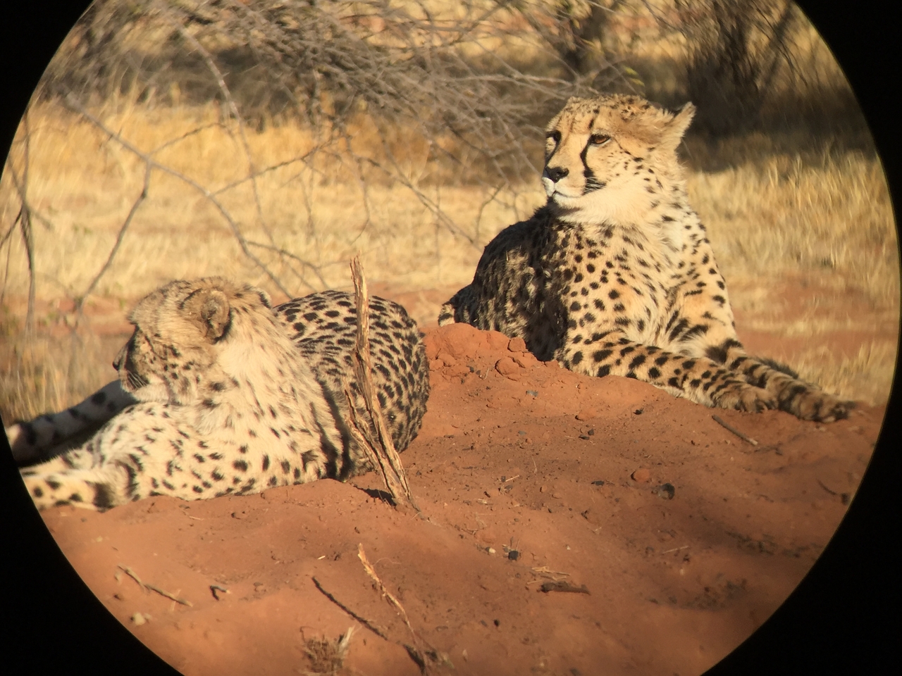 [9290] 2016_06_23_16_07_33_Africa_iPhone_6_IMG_7938_00520.jpg