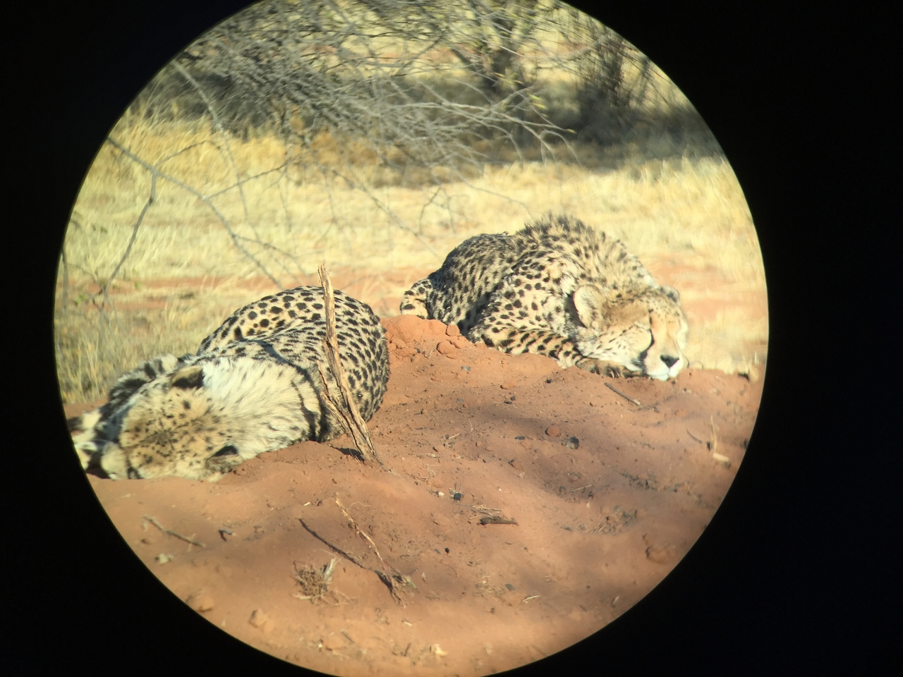 [9304] 2016_06_23_16_11_05_Africa_iPhone_6_IMG_7945_00527.jpg
