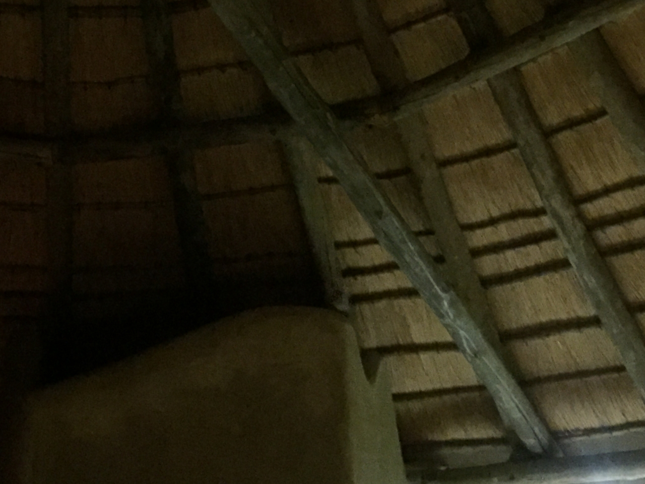 [13710] 2016_06_23_22_50_38_Africa_iPhone_6_IMG_8070_00648.jpg