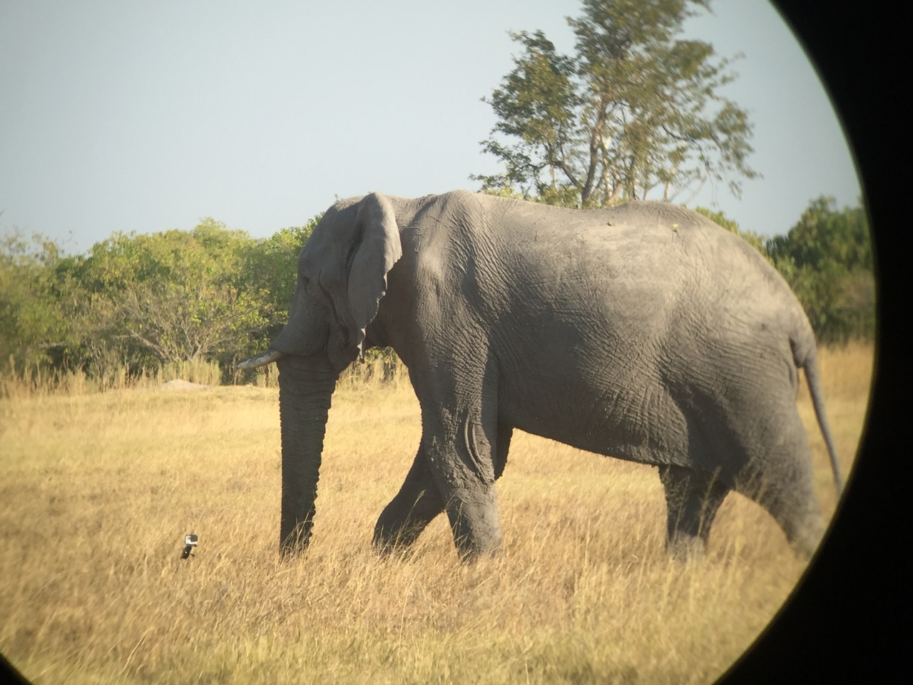 [26363] 2016_06_30_16_09_51_Africa_iPhone_6_IMG_8602_00543.jpg
