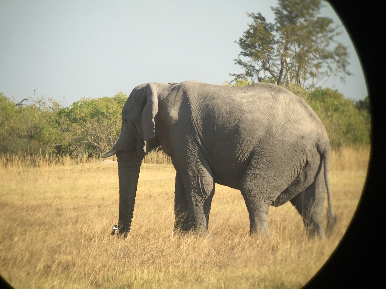 [26369] 2016_06_30_16_09_52_Africa_iPhone_6_IMG_8603_00544.jpg
